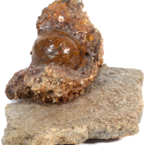 1798 IRON CANNISTER-SHOT IN ENCRUSTATION WITH STONE BASE AND PLAQUE, EX-HMS COLOSSUS