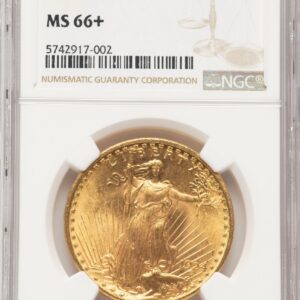 1924 Saint-Gaudens Double Eagles (1924 $20 Saint NGC Plus Brown Label)