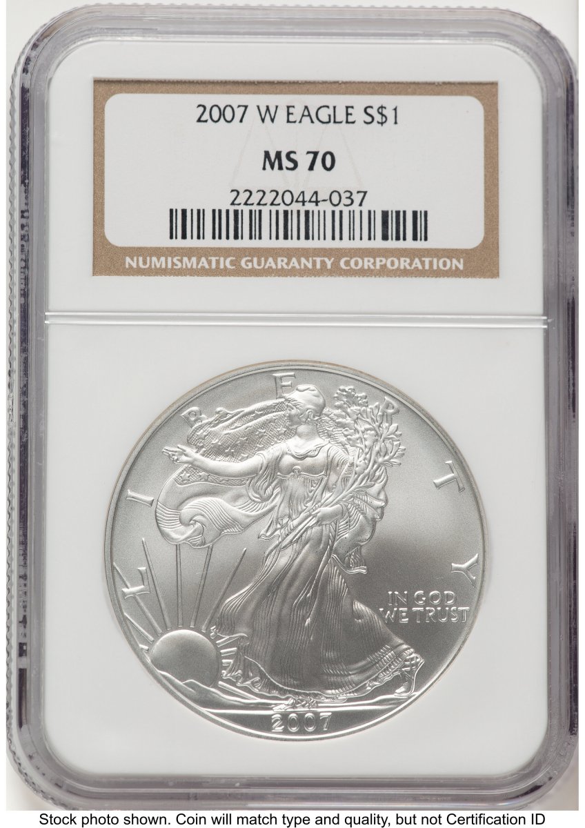 2007-W Modern Bullion Coins (2007-W Burnished Silver Eagle 1 oz Brown Label)