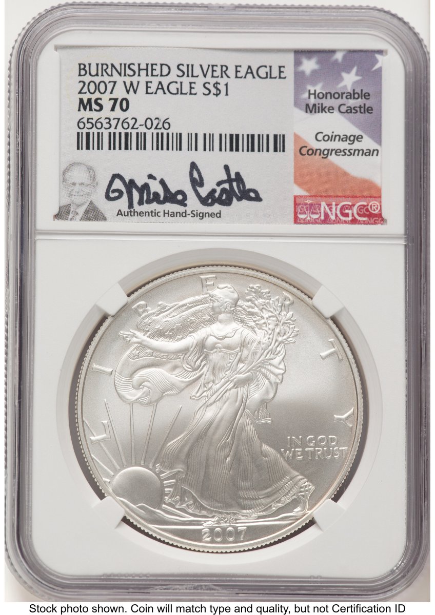 2007-W Modern Bullion Coins (2007-W Burnished Silver Eagle 1 oz Mike Castle)