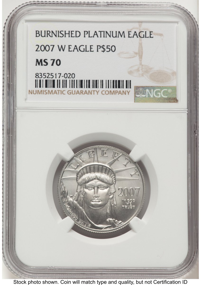 2007-W Modern Bullion Coins (2007-W Burnished Platinum Eagle 1/2 oz Brown Label)