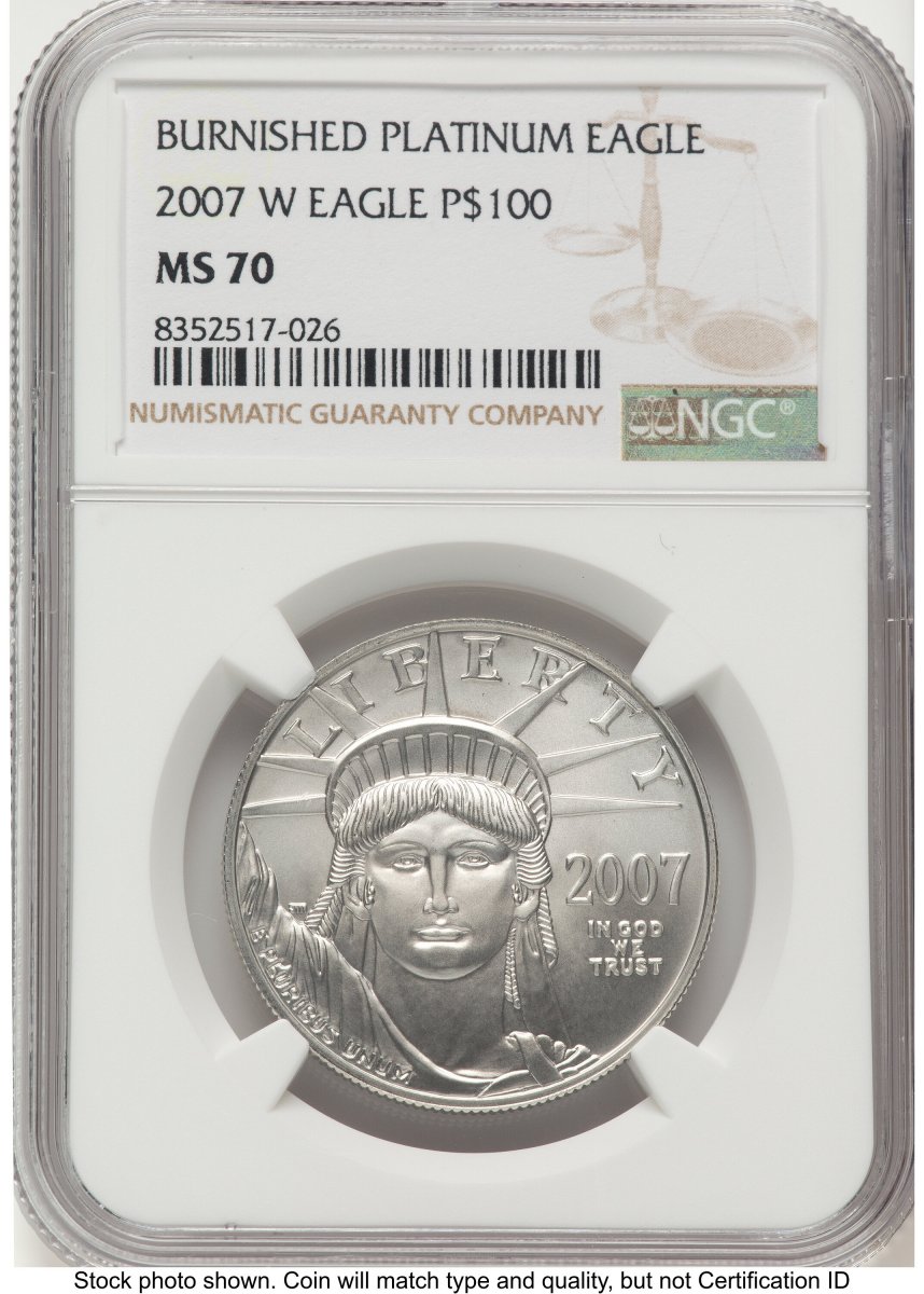 2007-W Modern Bullion Coins (2007-W Burnished Platinum Eagle 1 oz Brown Label)