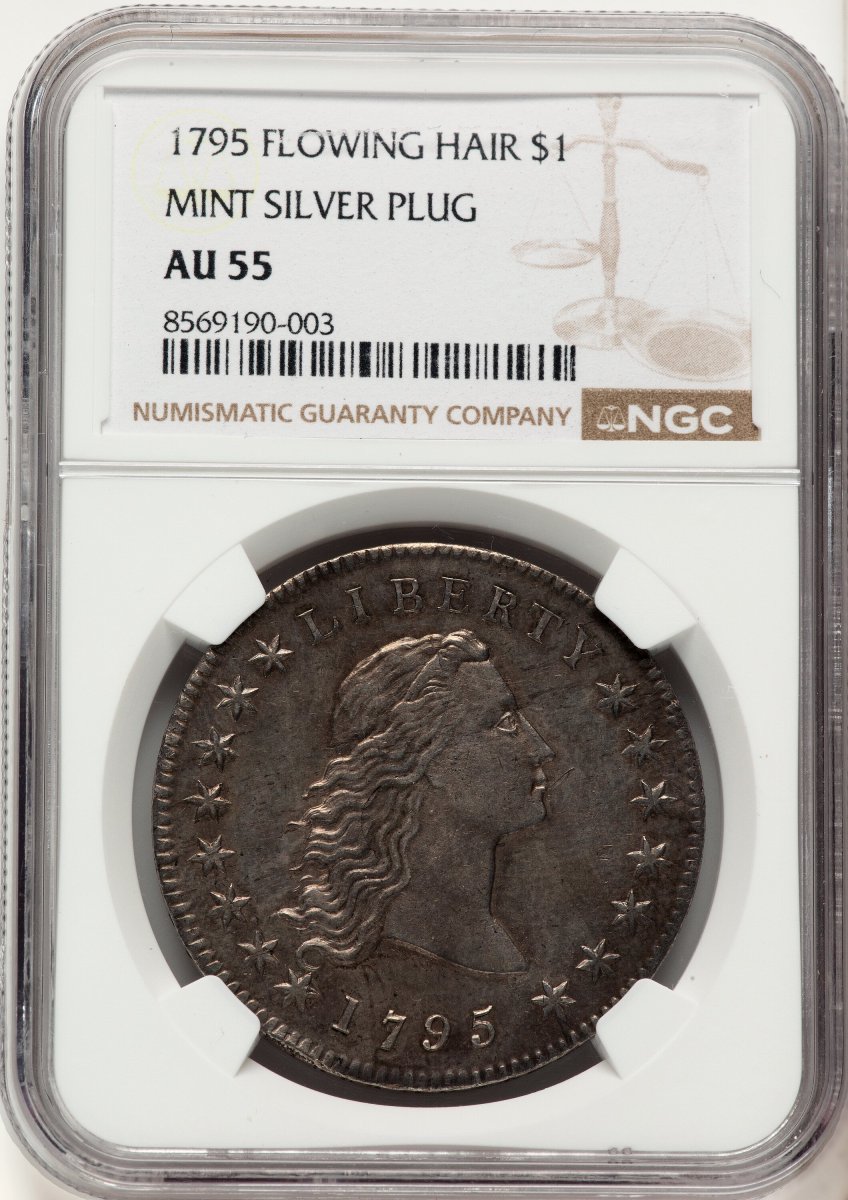 1795 Early Dollars (1795 S$1 Flowing Hair, Silver Plug)