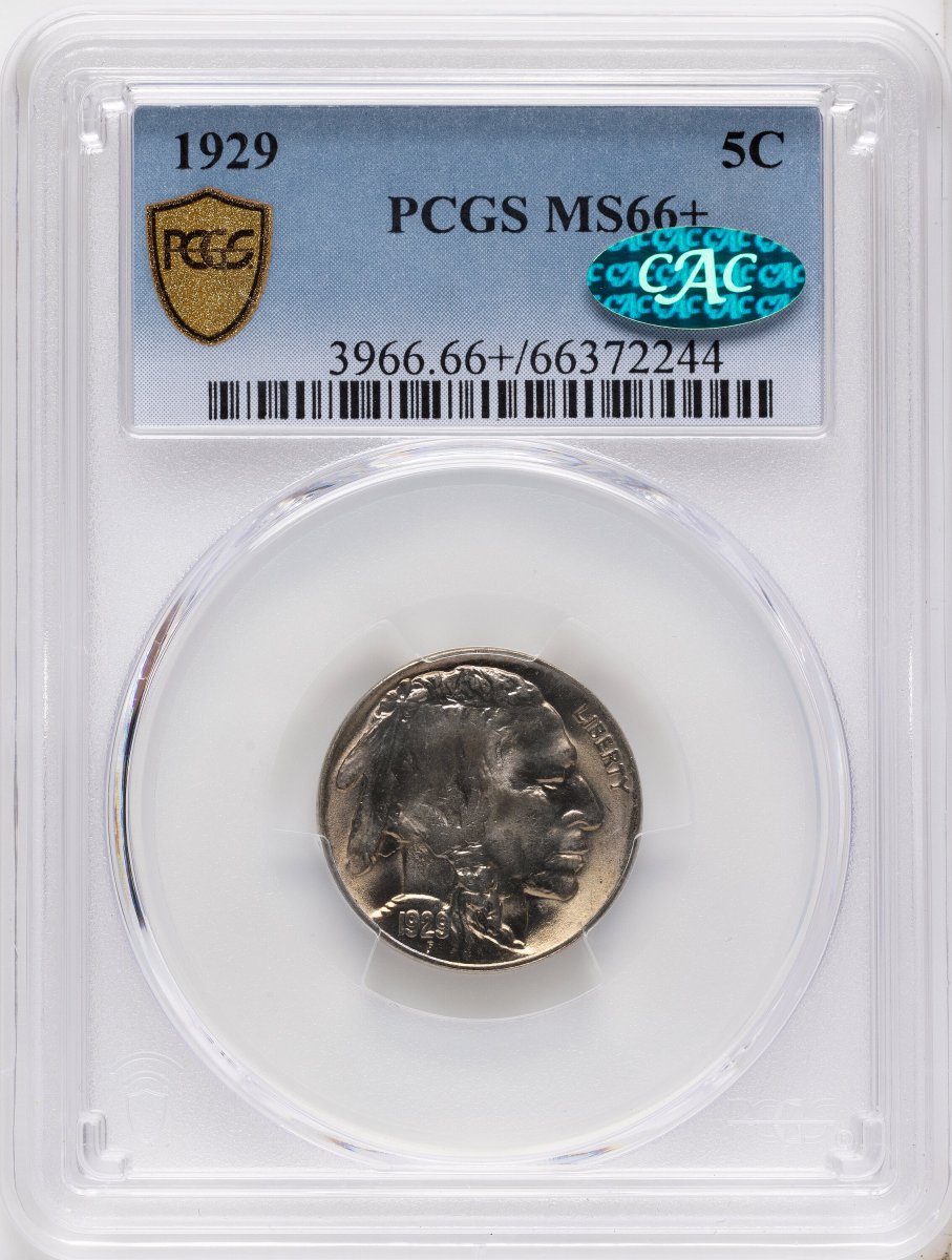 1929 Buffalo Nickels (1929 5C CAC PCGS Secure PCGS Plus)