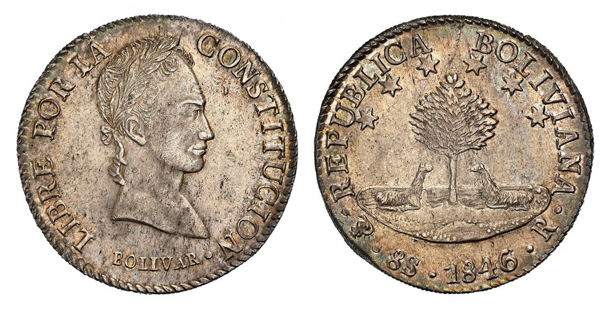 World Coins ("BOLIVIA. 1846/5-PTS R AR 8 Soles. NGC MS62. Potosi. 26.78gm. Llamas beneath tree with short branches, stars above / Laureate head right. KM 103.
Currently the finest known at NGC as of November 2025
Please use this link to verify the NGC certification)